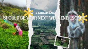 Why Kodaikanal Should Be Your Next Weekend Escape?