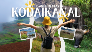 Best Places to Stay in Kodaikanal for Nature Lovers & Peaceful Getaways
